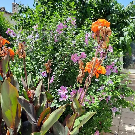 Maisonnette Charmante Avec Piscine Privative Hébergement de vacances *